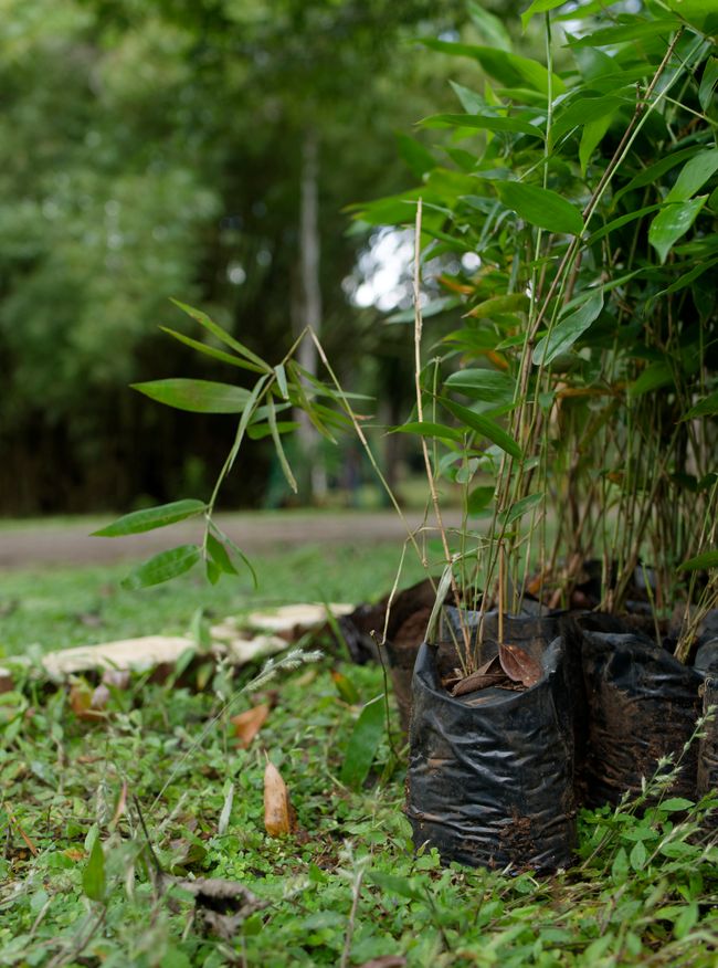 environmental impact