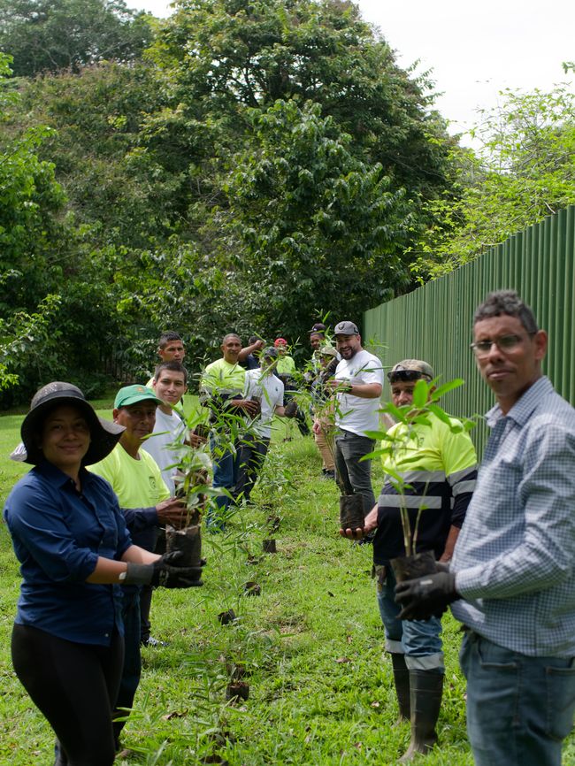 environmental impact